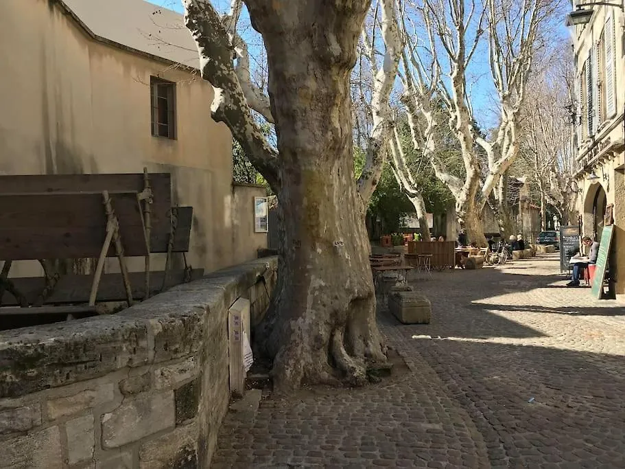 Appart 75 M2 Intramuros Sur Cour Avignon Lägenhet
